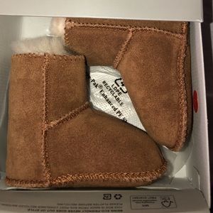 Brand new uggs
